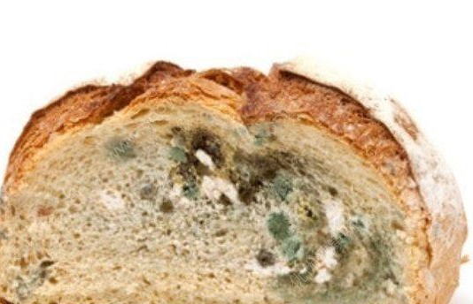 喝酒|肝细胞“修复器”终于找到了，不是萝卜，若爱吃，肝会感谢你