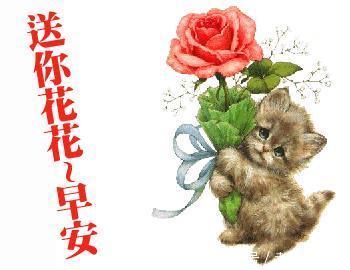 孤独|没有人喜欢孤独,但他们不喜欢失望