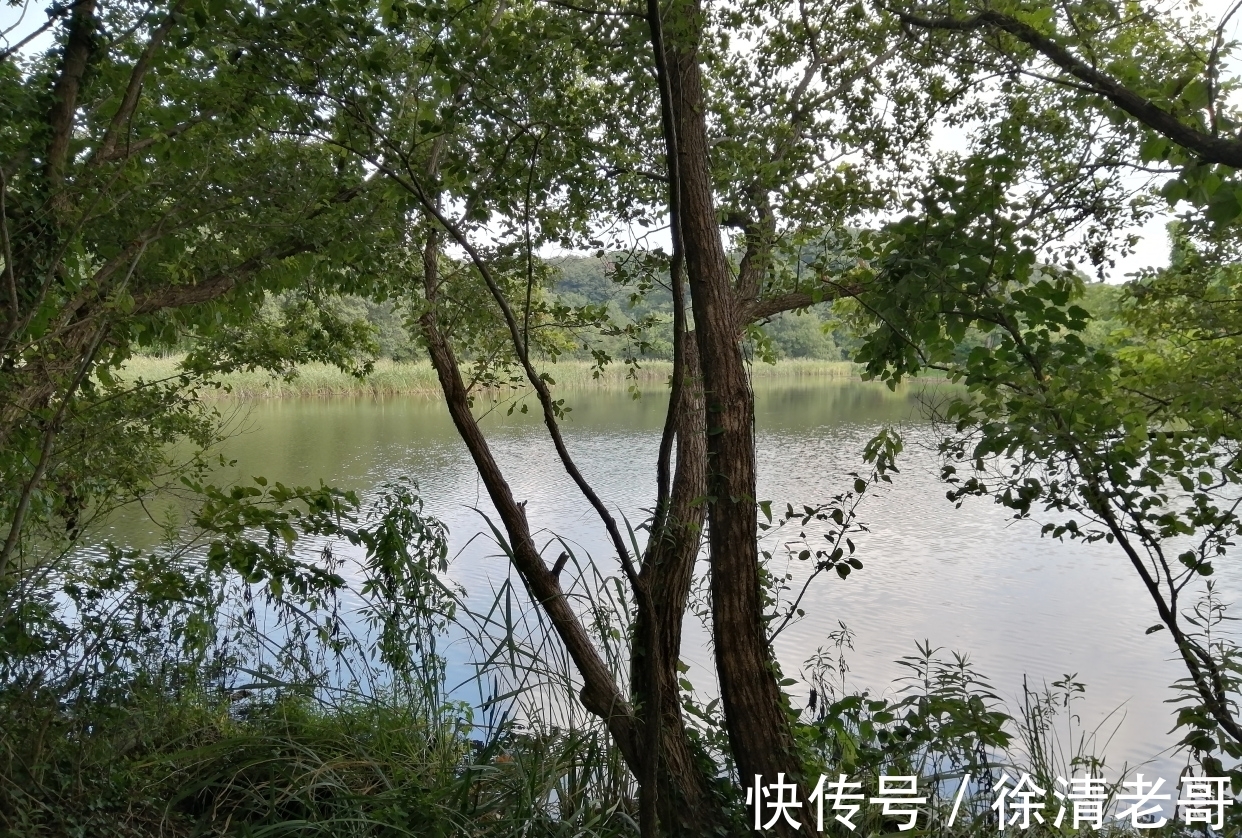 李剑华|画家寻找一处理想的创作地