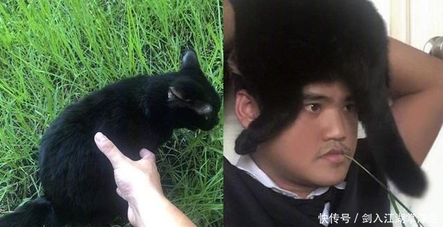 猫眼|泰国小哥最近和猫卯上了,黑猫白猫轮番上,猫眼里都是嫌弃