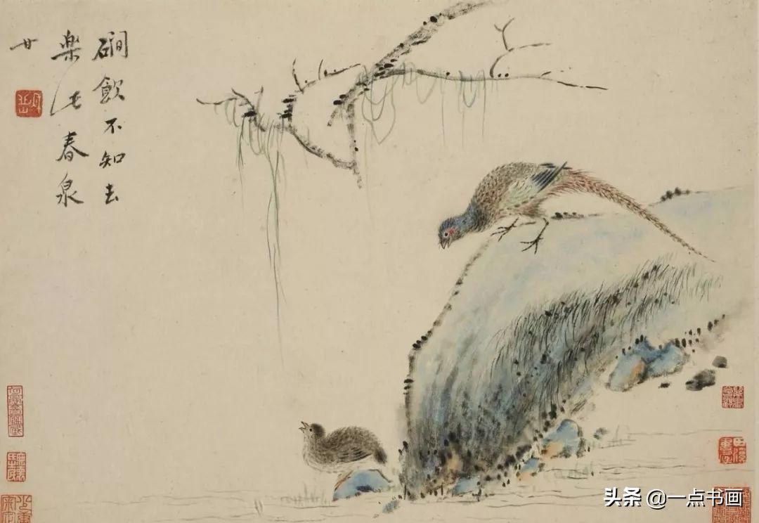 草虫&华岩的花鸟画,独辟蹊径,令人耳目一新