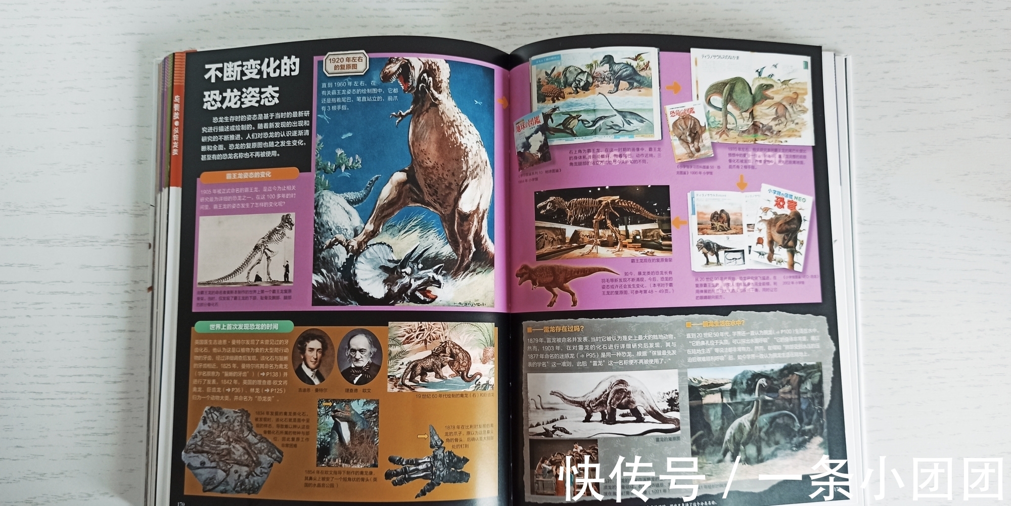哆啦a梦#一本关于恐龙的百科书,让孩子爱上恐龙的世界