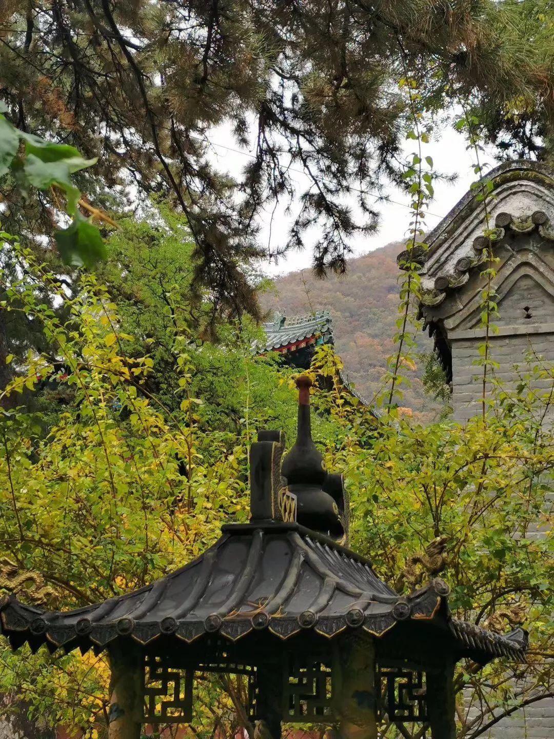  门头沟|古寺有灵知秋日，芳华无限在戒台——到门头沟最美的寺庙打卡