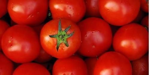 降血压|你爱吃西红柿吗?每天一个连吃一个月,带来的变化让你惊喜!