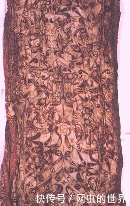 文物|马山一号墓出土了荒帷、瞑目,更让我们知道了绵祷是什么东西