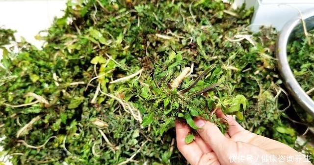 冬天,吃萝卜白菜不如吃它,鲜嫩营养高,遇到多囤些,从冬吃到春!