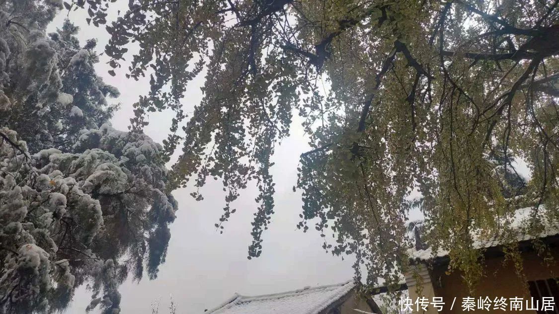 可至|西安秦岭这个峪口开车可至，适合大众爬山赏雪，还有2个免费寺庙和千年银杏