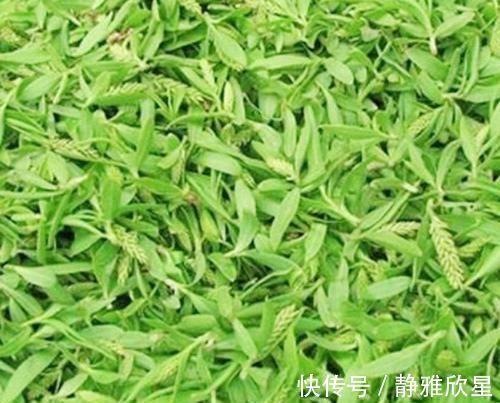 心脑血管|一旦查出高血脂,尽量多吃这几种食物,血脂或会慢慢降下去