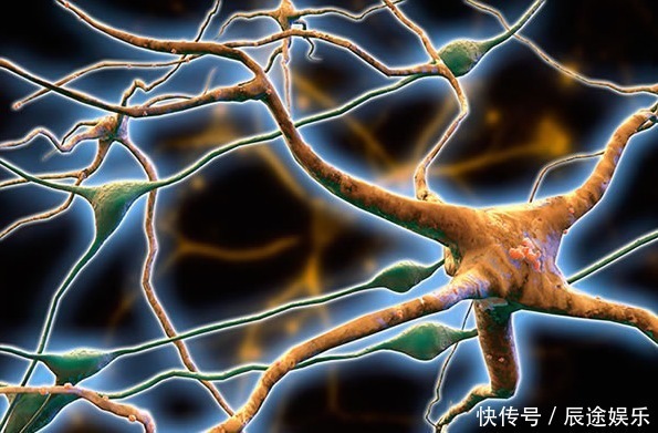 诀窍|101岁长寿老人,骨龄仅50岁,诀窍不是常运动,而是这2件小事