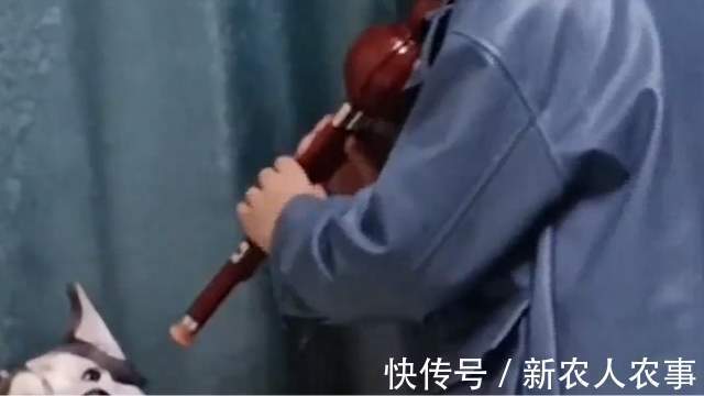 浙江|浙江一小男孩火了，强制给狗子吹葫芦丝，妈妈拍下了搞笑的瞬间