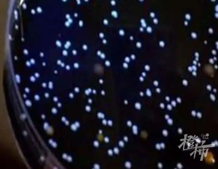 致病菌|警惕！37岁男子吹空调住进ICU！住了一周未脱险