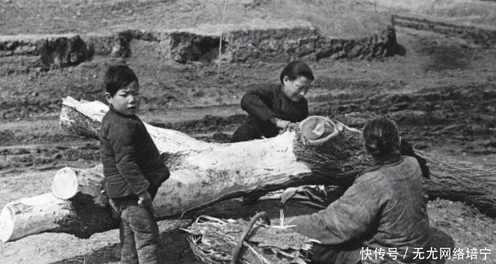 1936年大饥荒, 10张差点销毁的老照片, 百姓树皮为食