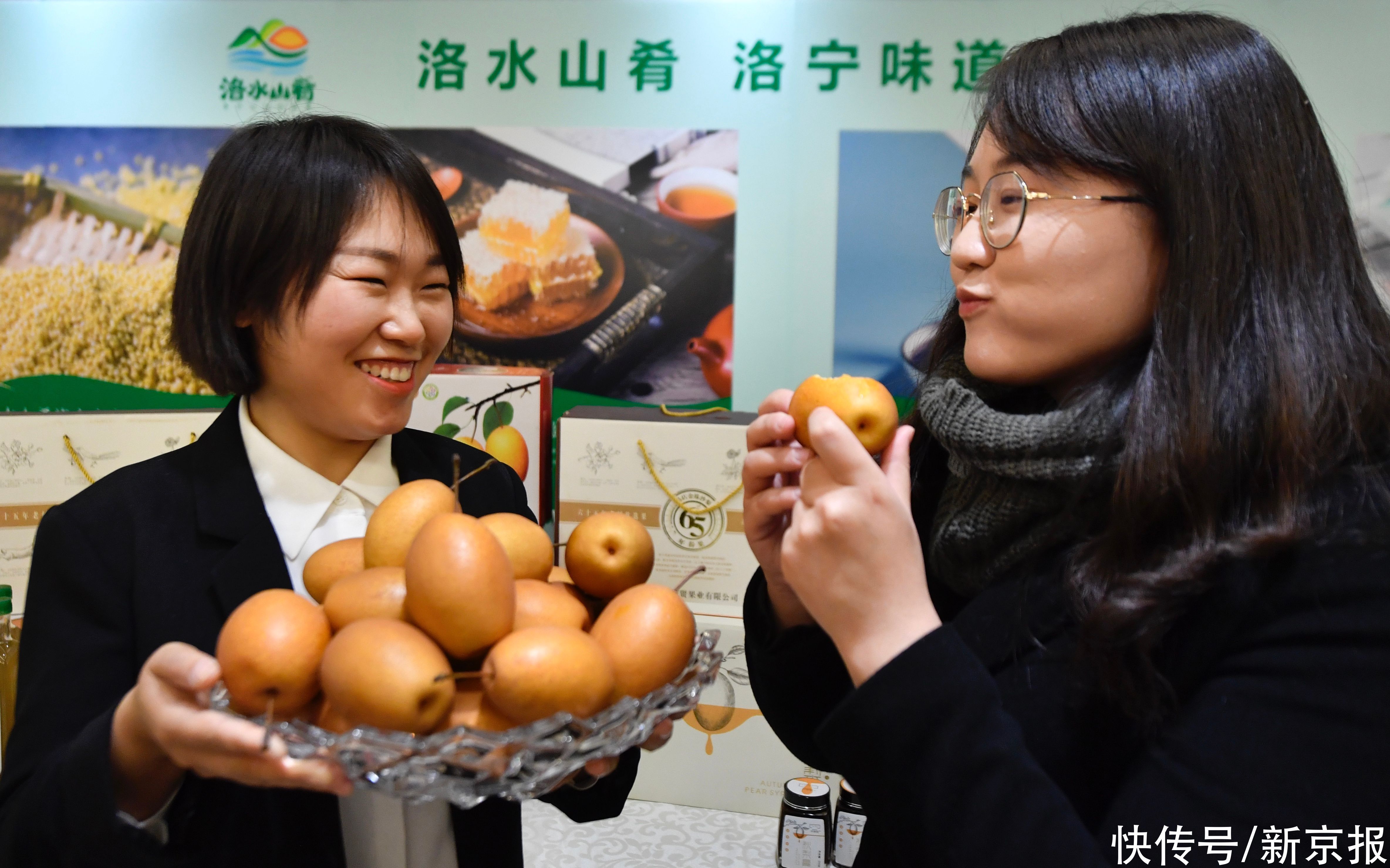 洛宁县|河南洛宁“金珠沙梨”首次进京 适合蒸着吃的梨来了