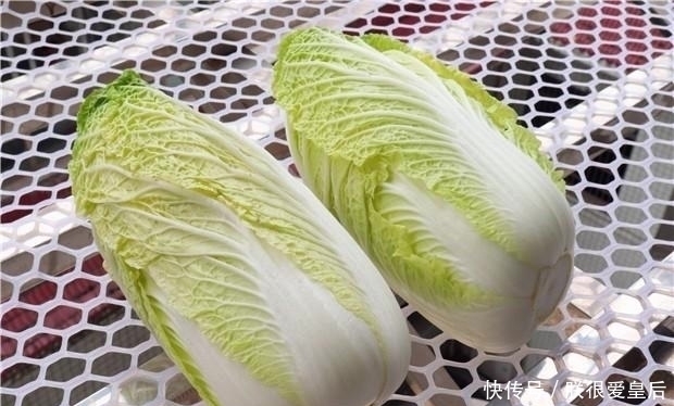 储存|老菜农告诉我，储存白菜不用放地窖，教你一招，白菜一点不腐烂