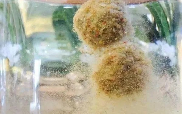 还在发愁上鱼慢?赶快试试这样用饵,方法简单,看完别再做错!