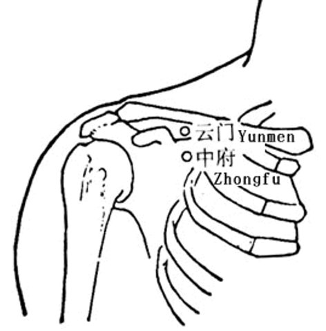 双语版24节气