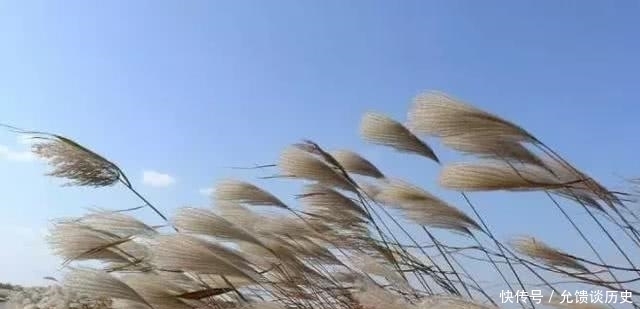 完颜亮虽是金国之主,但他的诗词,一吟一咏,冠绝当时