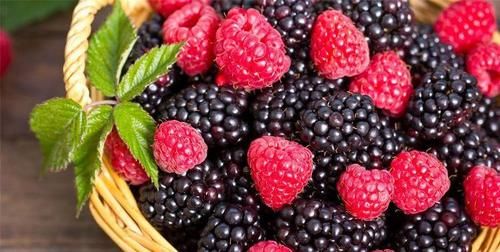 想身体好，春天坚持吃的食物，促进血液循环，预防衰老，肌肤变好