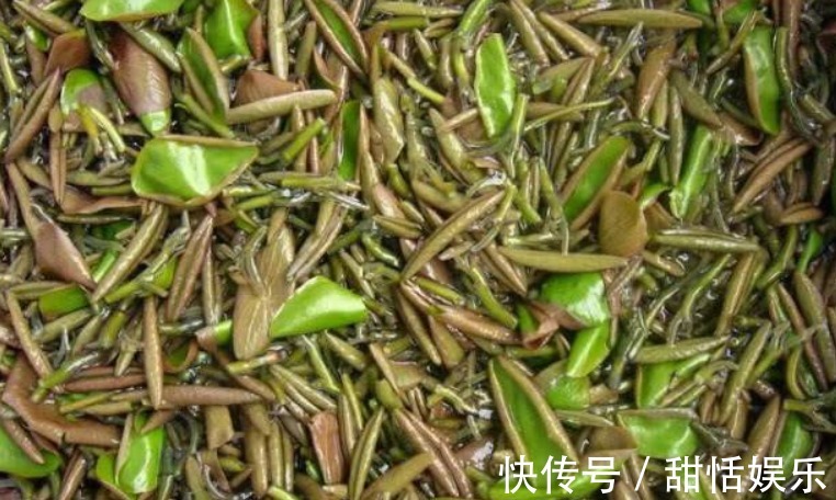 艾叶油|女性多吃以下食物,刮油减肥,水嫩肌肤,减皱抗衰老,越吃越年轻