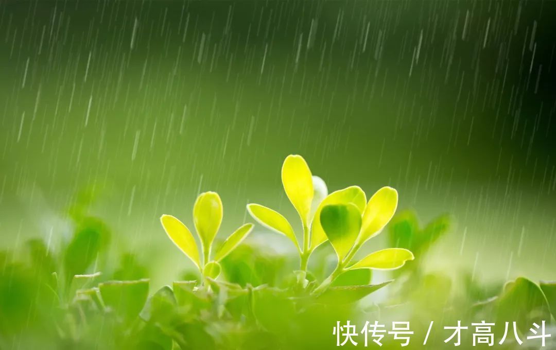 淮中晚泊犊头@20首春雨诗词,一朝春雨过,万物皆清明