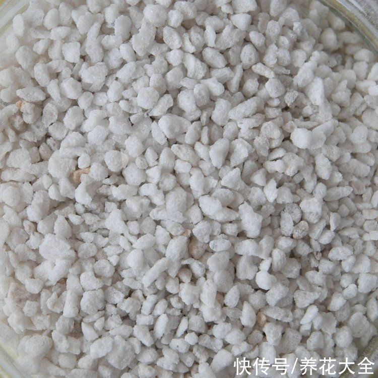 养花土里加上这5种颗粒，透气透水效果好，养花再也不烂根