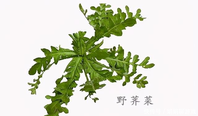 荠菜碧绿有诀窍,少了这一步,口感更清爽