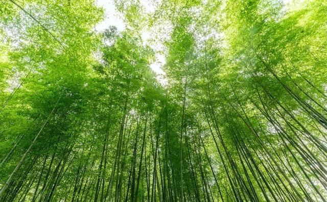 究竟|小暑,“上蒸下煮”,最热天气正在赶来“三暑”“三伏”究竟有啥联系