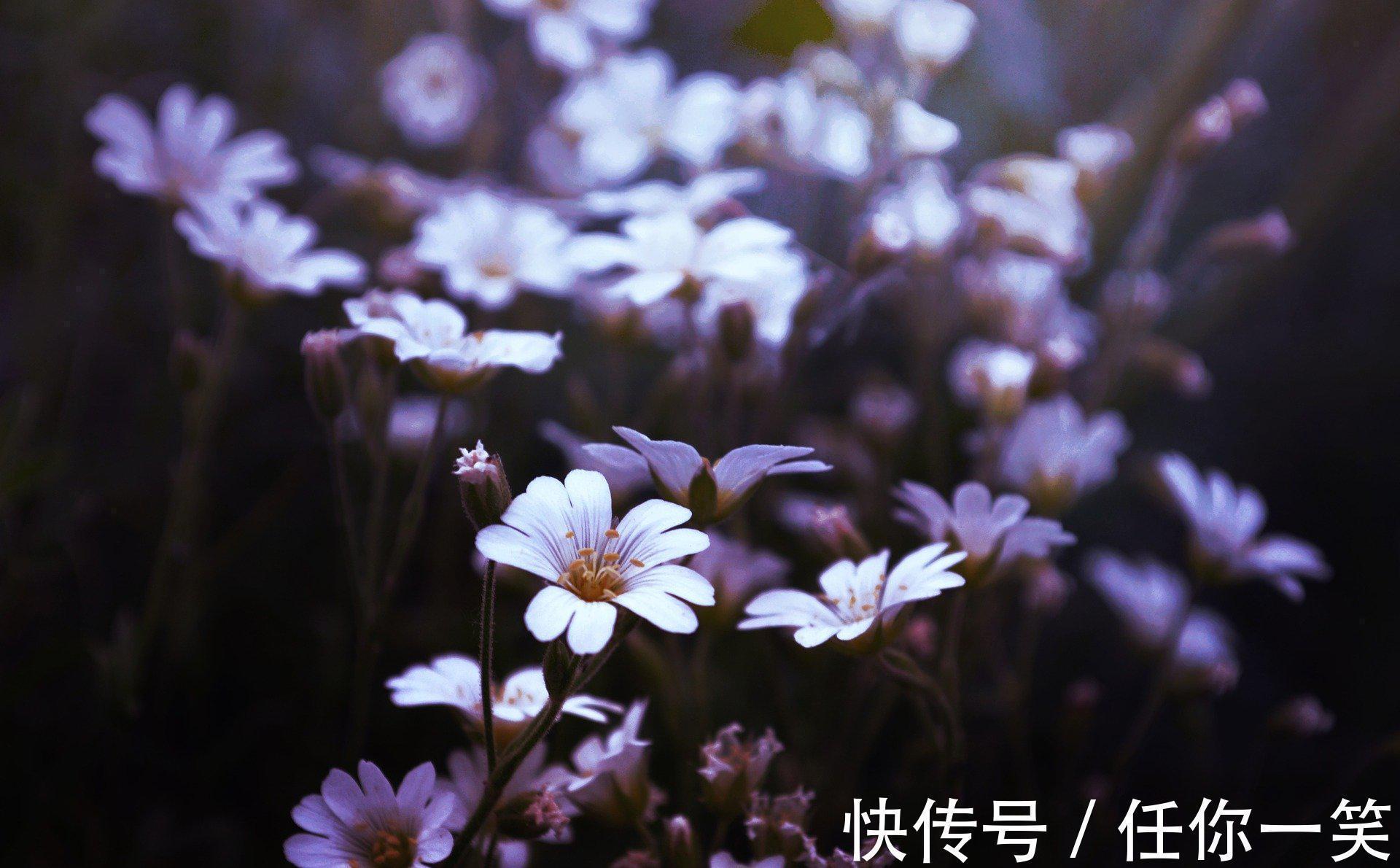 六十四卦#《易经》推天道明人事,中国哲学精华,卦名和卦序已见端倪