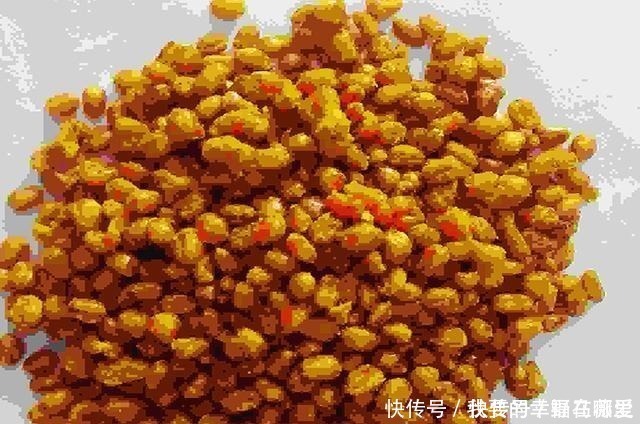 麦粒|3种麦粒鱼饵制作方法分享,想学的别错过