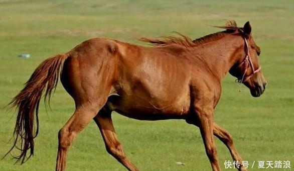 5月18日 5月31日 四大生肖上天眷顾 财富运旺盛喜事多 全网搜