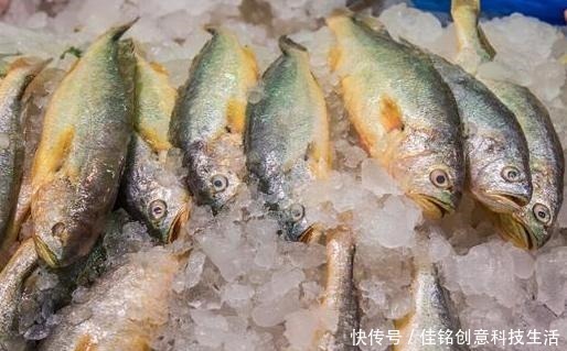 去菜市场买鱼,专挑这4种,好吃还便宜,鱼店老板都夸你懂行