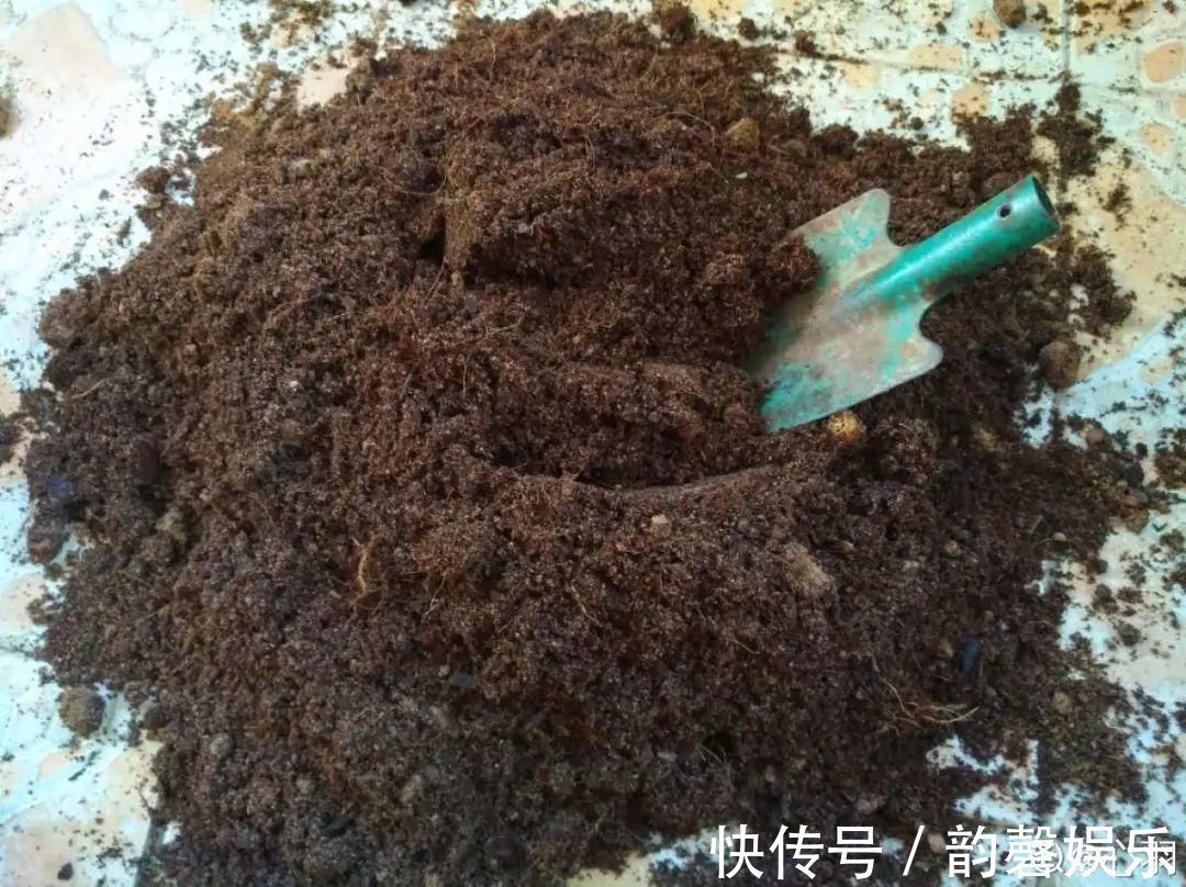 肥料|最好用的养花肥,盆里撒一把,1年不用换盆了