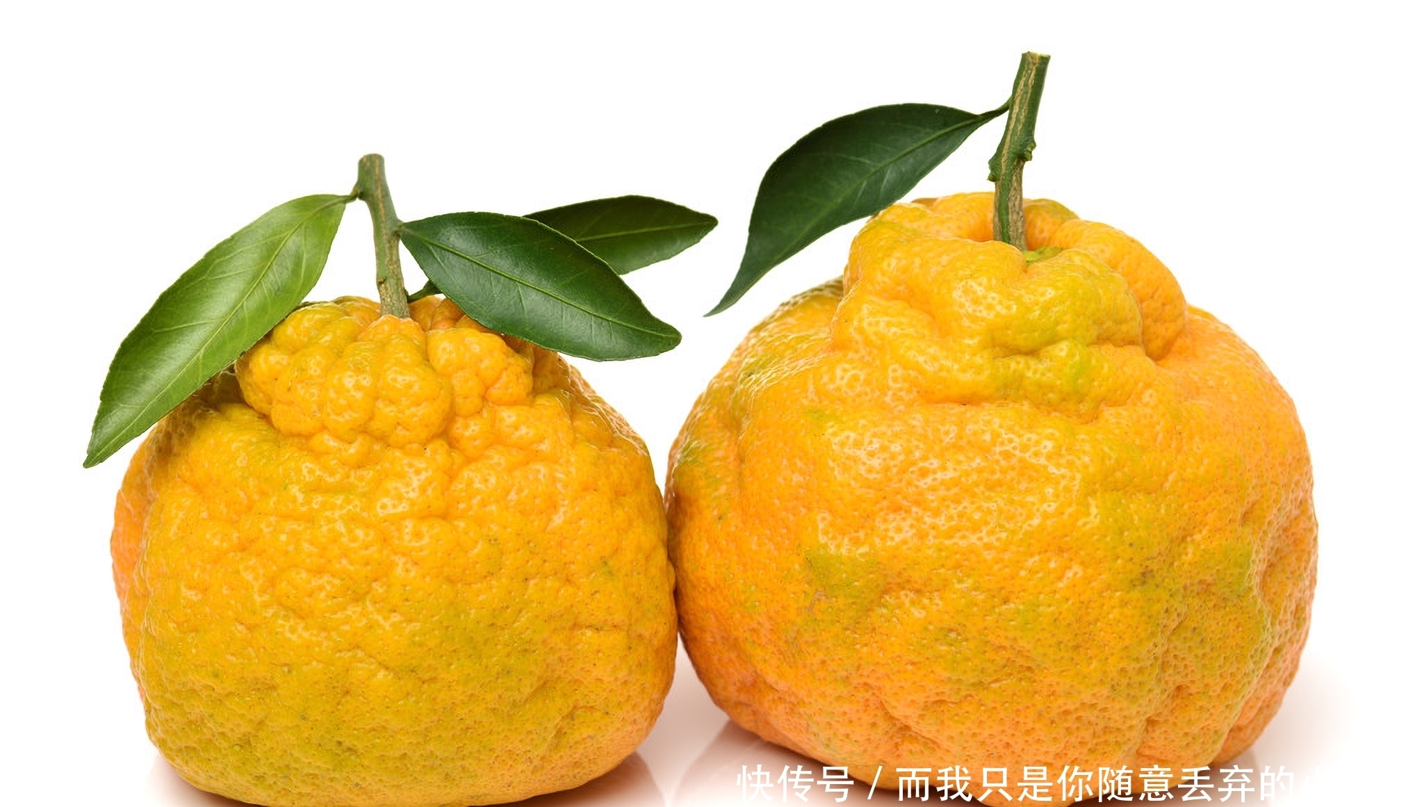 买丑橘要挑“母”的才好吃,教你5个挑选方法,学会后一挑一个准