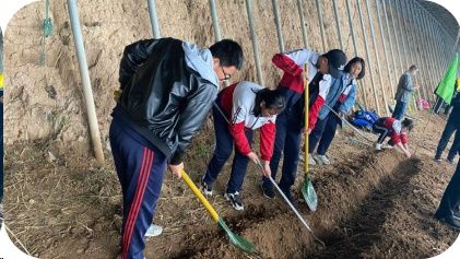 实践出真知 STEM促成长——杨守菊齐鲁名师领航工作室成员在东营市中小学劳动技能竞赛中荣获佳绩