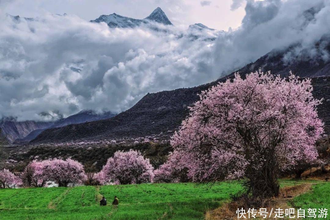 中国的春天究竟有多美？去这些地方看看就知道了