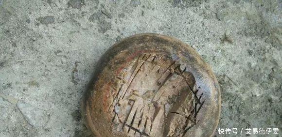 大爷用石头来养花,越养越值钱,有人出1000块也不卖!