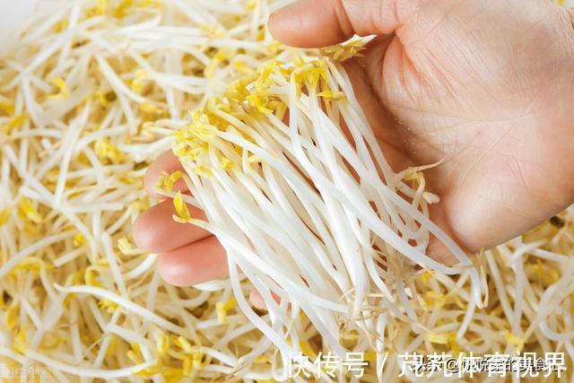 芽苗菜|春吃芽,选绿豆芽还是黄豆芽?牢记“2不买”,实惠营养又好吃