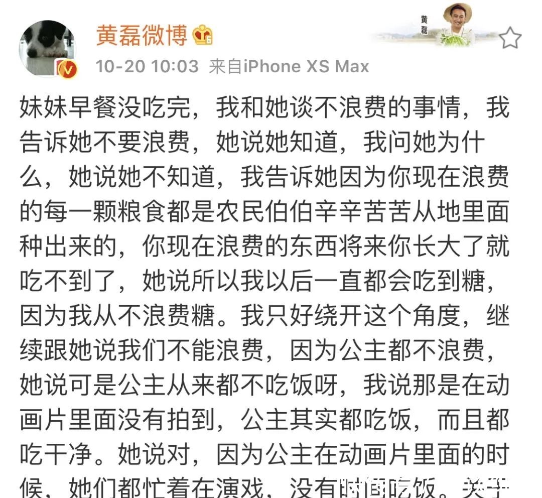 黄磊被女儿狂怼认输：如何培养逻辑思维强的孩子？抓住幼儿关键期