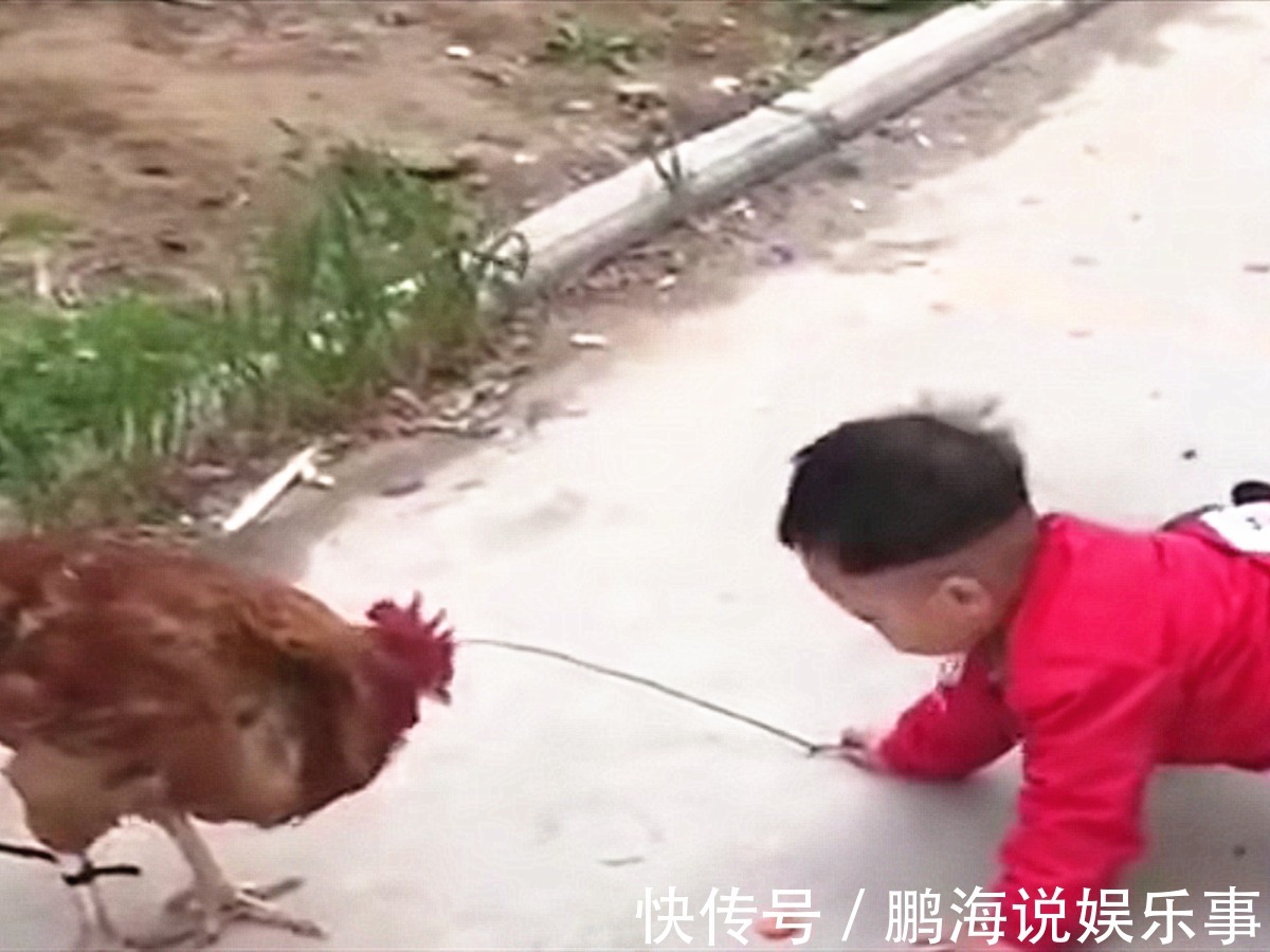 林夕|送儿子到乡下后,才知道孩子玩得有多快乐,网友:可怜奶奶家的鸡