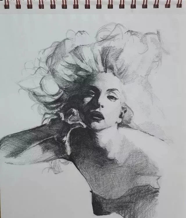 素描##尚唯美画室#大气的素描就是抓住大关系之后,细节你随意