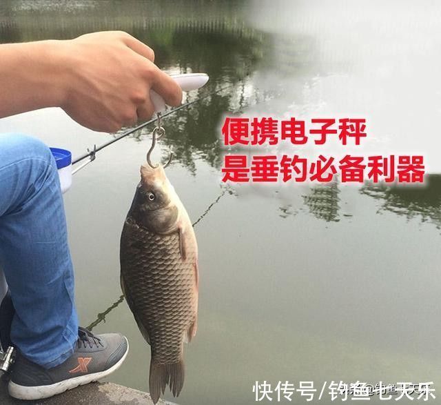 多种钓具不能用!汉中垂钓“规范”来了,对渔获物的规格也有要求