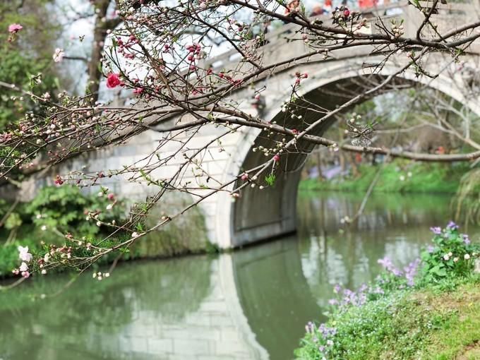 信号|元宵佳节的扬州，春暖花开