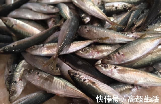 这4种海鱼值得大家一吃!比猪肉营养,独具鲜美还便宜,别错过!