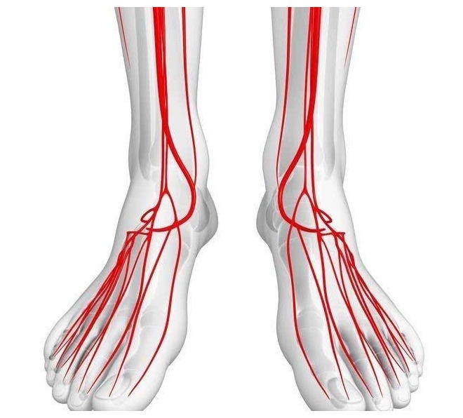 菊苣|五十岁后,若能熬过这3道寿命坎,很可能会迎来长寿!