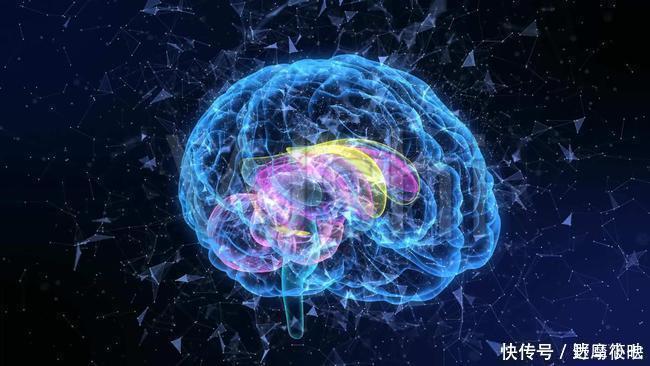 健康|老年痴呆症经典测试30秒只要能找到12只老虎的,大脑肯定健康