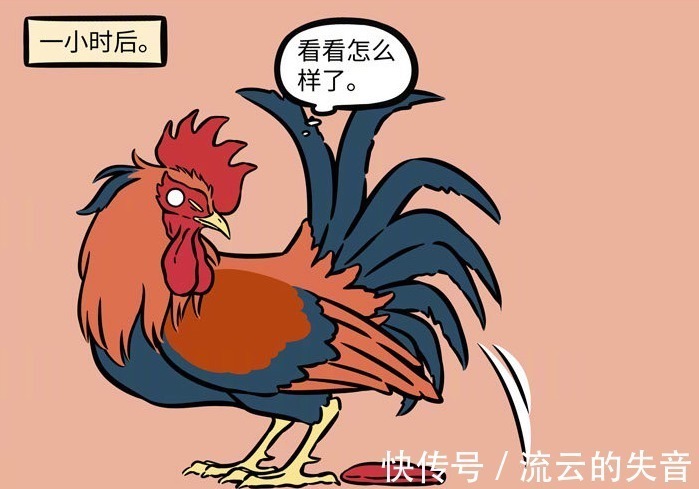 麒麟|非人哉昴日星君化身孵蛋公鸡,成为“男妈妈”后与九月爱好相同