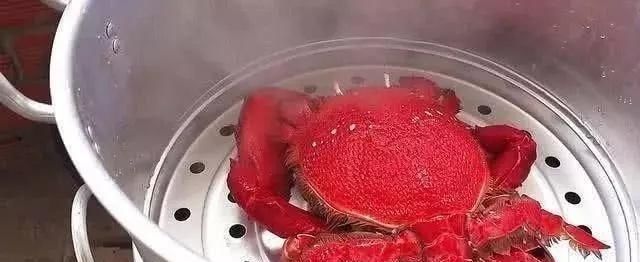 煮熟|小伙买了一只4斤重的“大螃蟹”,煮熟后打开螃蟹盖瞬间被激怒了