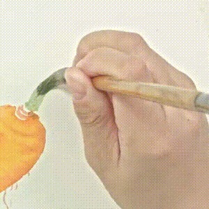 示范&用没骨技法画胡萝卜和鸢尾花,这样的示范案例领你入门