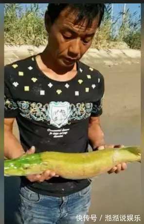 鳄雀鳝|男子钓鱼钓到绿色奇葩怪鱼, 细看鱼嘴后放生!
