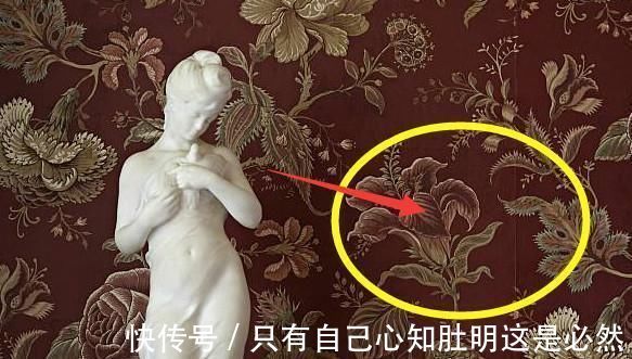 洗碗机|自家被坑才有胆量说!这15处装错真没好果子吃,坑的你彻夜难眠!